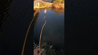 AMAZON MAGNET Fishing near Railroad tracks