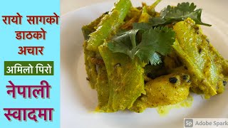 रायो सागको डाठको एकदम स्वादिलो छिट्टोमिट्ठो अचार । Green mustard with potato spicy Salad |