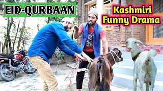 Eid Qurbaan | Kashmiri Funny Drama