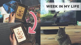 THRIFT WITH ME | Cat Reacts To Stray Video Game | Haul: Yugioh cards, Merch, Toys | Week In My Life