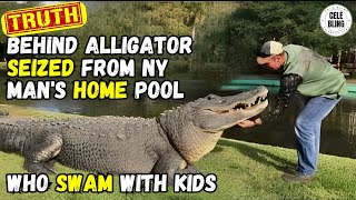 Alligator, who swam with kids, seized from New York man's home pool #alligator #newyork #CELEBLING