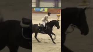 Помоги добить 500 подписчиков до нового года🙏💕🎄 видео моё #horse #конкур