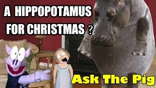 ASK THE PIG #247 : A HIPPOPOTAMUS FOR CHRISTMAS ?? | Sam The Ham