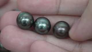 15pcs "Mid Luster" Green Mix 10-11mm - RSR AAA/TOP Quality Tahitian Pearl Auction LOT26 WP103