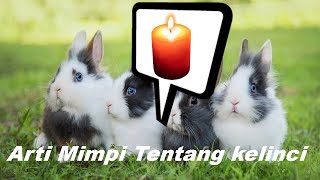 Arti Mimpi Tangkap Kelinci