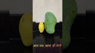 आम भी खास हो गया  यही तो कमाल है.#mango #mangonews #specialstory #specialreport