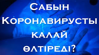 Сабын Коронавирусты Қалай Өлтіреді? | Ǵylym Tappaı