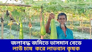 জলাবদ্ধ জমিতে ভাসমান বেডে লাউ চাষ  করে লাভবান কৃষক