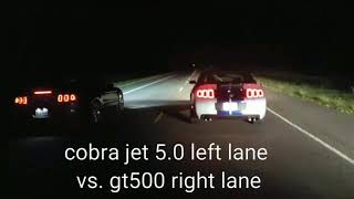 2014 SHELBY GT500 VS. MY ALL MOTOR COBRA JET 5.0 (WHO TAKES THE WIN?)