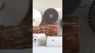 woodworking multi rip saw for round log#sawmill #woodworking #woodwork 我#wood #log #machine #rip