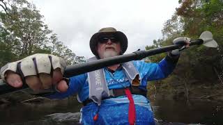 Kayaking The Upper Noosa River Day 2