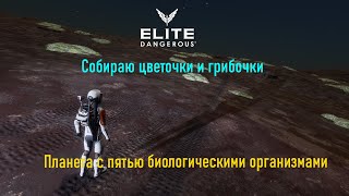 Elite Dangerous   -  Продолжение поиска грибочков и цветочков в дали от дома.