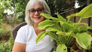 Shade Garden | Planting Hostas | Cottage Garden