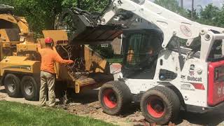 Amazing Long Reach Tree cutting Machines in USA in Telugu|| Big Tree Cutting ||Telugu Vlogs From USA