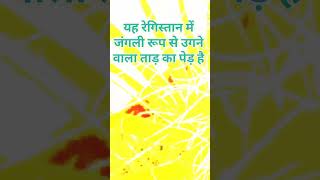 क्या आप इस अद्भुत पौधे के बारे में जानते हैं? #shorts #short #viral #shortvideo #trending