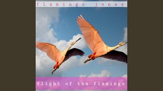 Flight of the Flamingo