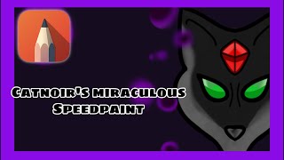 Speedpaint | Miraculous ladybug Black cat miraculous (PV)