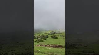 Floating clouds😍 #viral #trending #explorepage #ytshorts #shorts #travelblogger #patnitop