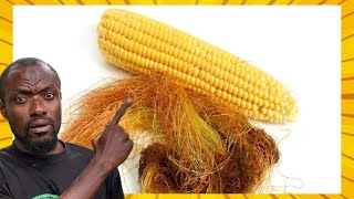 ALL WHAT YOU NEED TO KNOW ABOUT CORN SILK