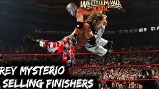 WWE Rey Mysterio Selling Finishers Compilation 2002-2009