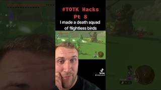 TOTK Hacks Pt 8 #totk #gaming #zelda #nintendo