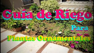 Guía de riego para plantas ornamentales| ¿Mi planta es de mucha o poca agua?