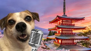 Dog Sings Dame Da Ne (Baka Mitai)