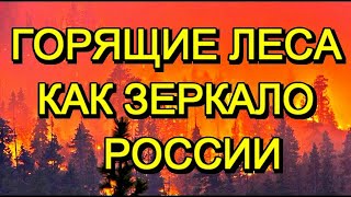 Горящие леса как зеркало России