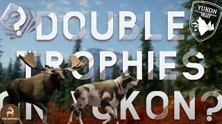 IM BACK!!! Double Trophies on Yukon Valley?! #thehunter17 #thehuntercallofthewild