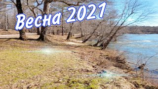 Весна 2021, редкие утки