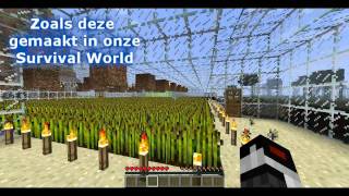 | Hoe Doe Je Dat? | Ep 2 Wheat Farm!