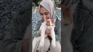 dana kedi gofret sarman kedilerin kralı aşığım bu kediye