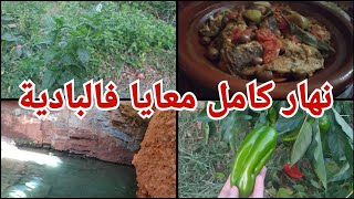 ديتكم معايا لبلاصة غزالة ف#البادية دخلوا كتاشفوها