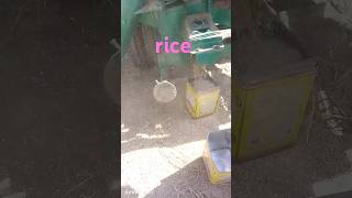 #swatvelly # rice trisher#subscribe #love