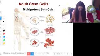 TypesStemCellsTutorialMalone