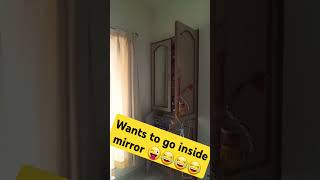 Twinkle ✨ and star 🌟 wanna fly inside mirrors 🤣🤣🤣🤣