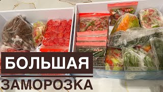 Көкеністерді ҚАТЫРУ! АҚША мен УАҚЫТ үнемдеу жолы!