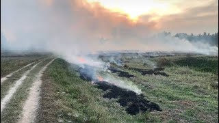 Burning Rice Fields in Thailand