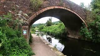 Stroudwater canal, Bowbridge to Thrupp