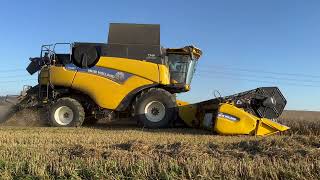 Объедините NEW HOLLAND CR 980 + TATRA PHOENIX и уберите большое поле [видео 4К]