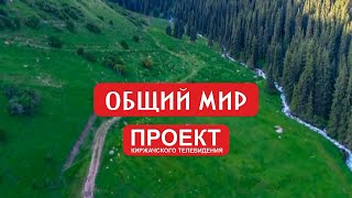 «Общий мир»  Трудовая миграция в Киржачском районе на примере «ТПХ «Русклимат»