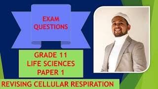 Revising Cellular Respiration - Grade 11 - Paper 1 - Section B Questions