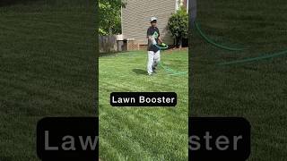 The Best Lawn Liquid Fertilizer At Home Depot #shorts