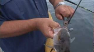 Dan Hernandez Using Circle Hook for Sand Bass