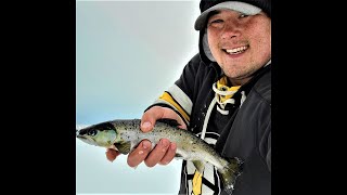 SOLO ICE FISHING trip for MAINE LANDLOCKED SALMON