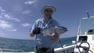 Day 2 Fishing 1770 -  First Catch of the Day for JB  Mack Tuna on 20LB Braid