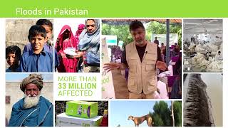 A Year Of Resilience | Rebuilding Lives In Pakistan With MAUSA