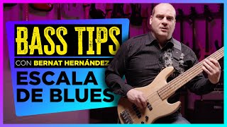 Mini Tutorial de Bajo: La escala más usada de la historia