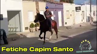 FETICHE CAPIM SANTO #mangalargamachador/#mangalargadobrasil/#mangalargadeelite/#viral_video