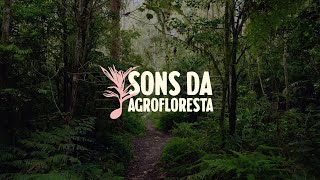 FarFarm Lança "Sons da Agrofloresta"